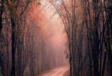 海星体育：025南通马拉松开赛.