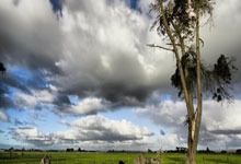 海星体育：罗马诺：拜仁找门德斯谈过昆达；今夏他们会引进重量级边锋.