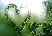 意外不敌升班马科莫 那波利痛失重返意甲榜首机会.