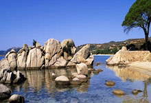 [法甲]登贝莱连场“帽子戏法” 大巴黎大胜布雷斯特.